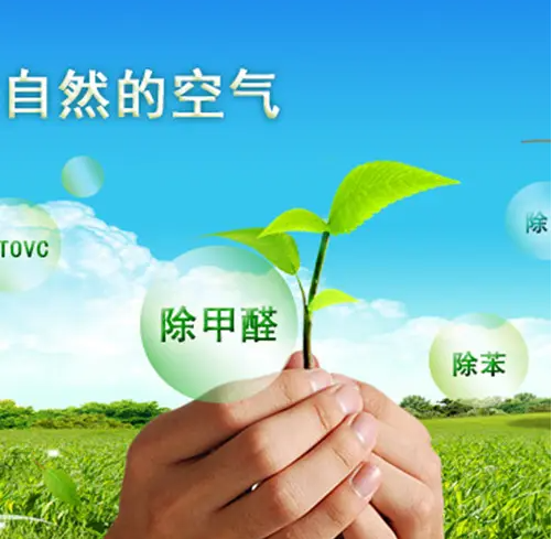 陜西除甲醛行業(yè)網(wǎng)